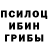 Галлюциногенные грибы GOLDEN TEACHER Platworki