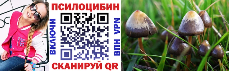 Галлюциногенные грибы Magic Shrooms  Печоры 